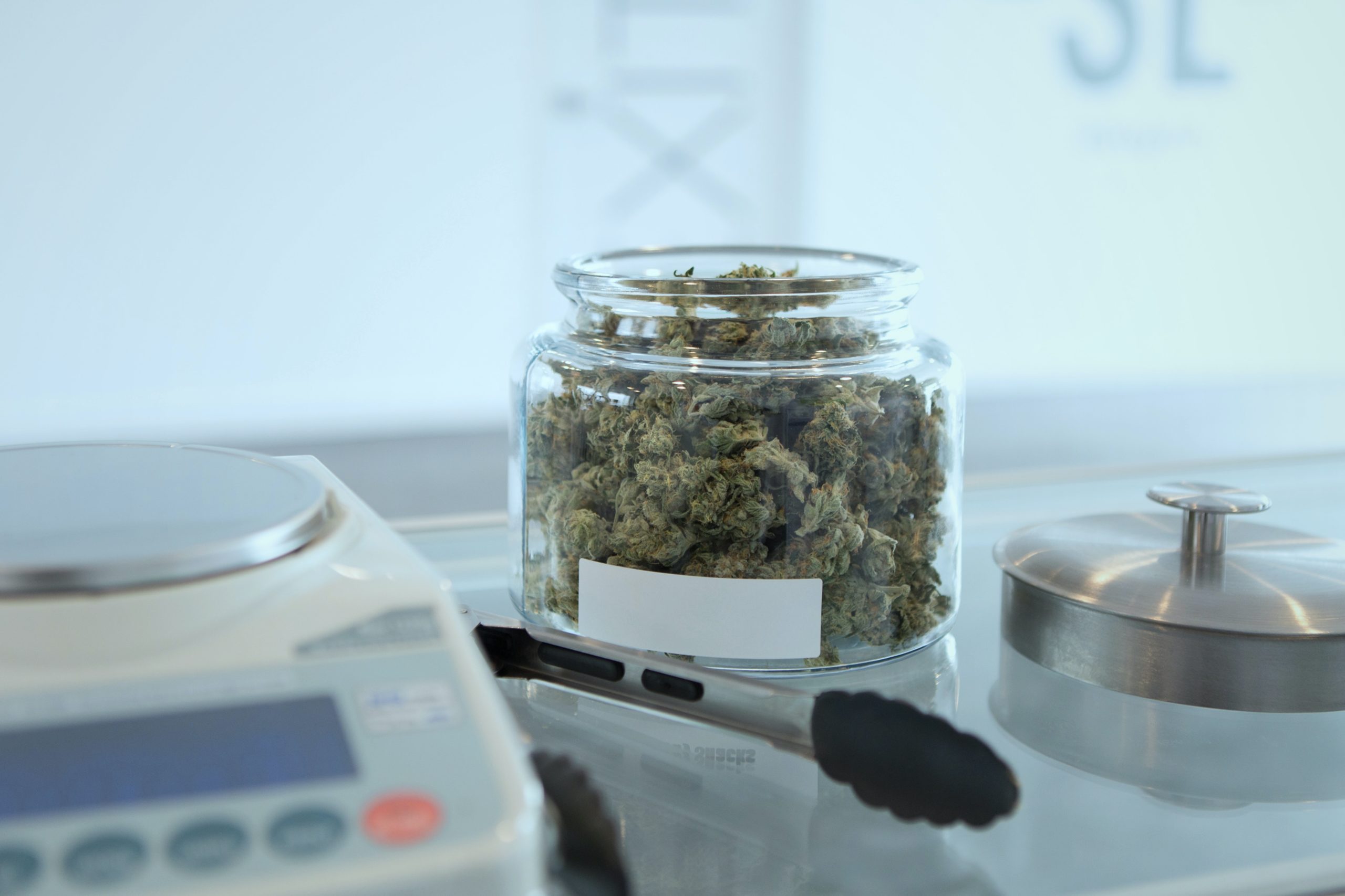 Rhode Island Cannabis Occupational Licenses 